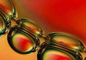 COMPLEXE BOUCLIER ANTIOXYDANT 8-EN-1