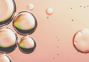 3,3% COMPLEXE D’ACIDE ELLAGIQUE & PRÉBIOTIQUES