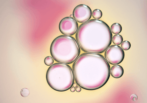 Complexe Algues Rouges & Pois
